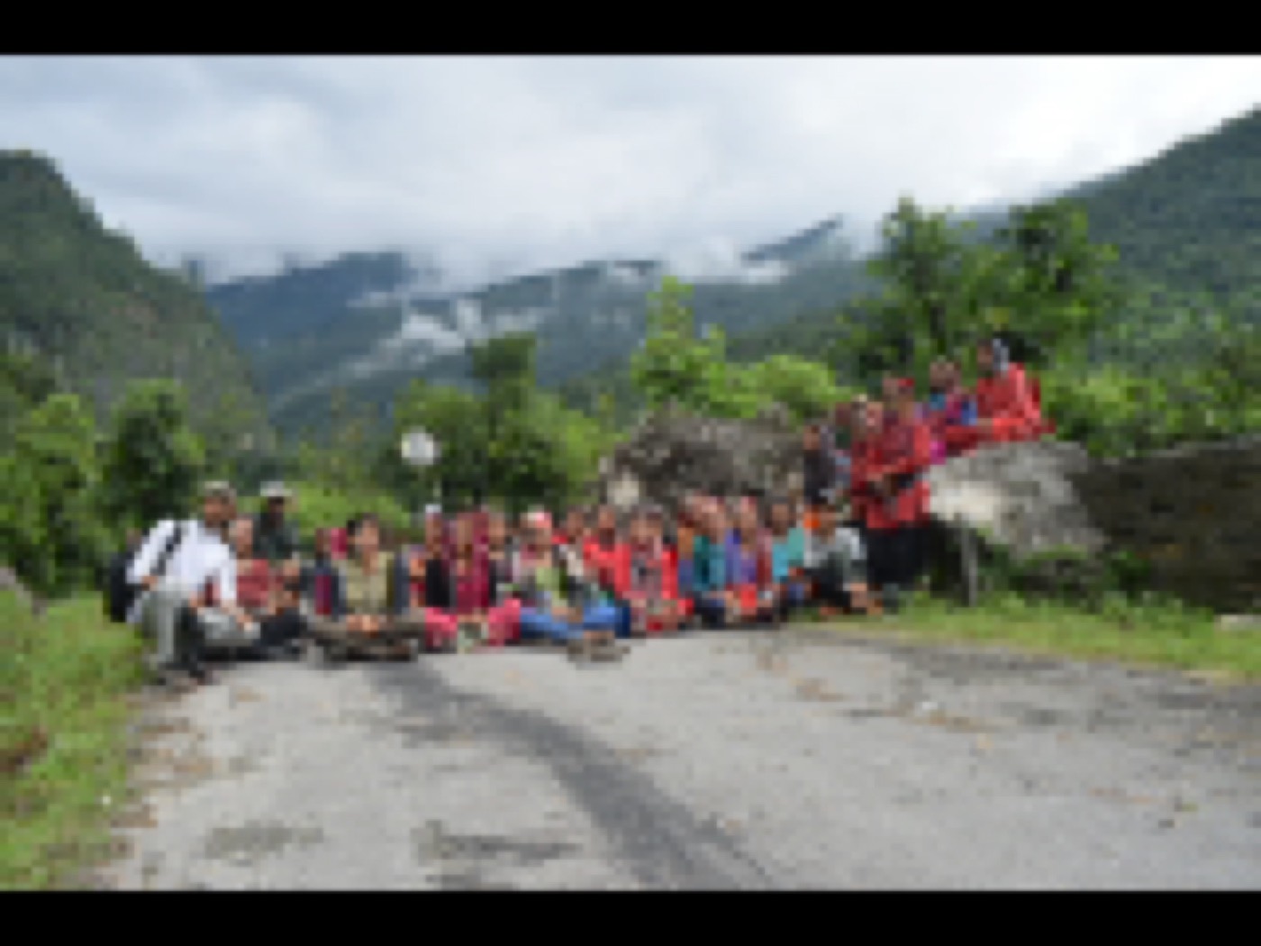 Community members holding young plants during a plantation activity