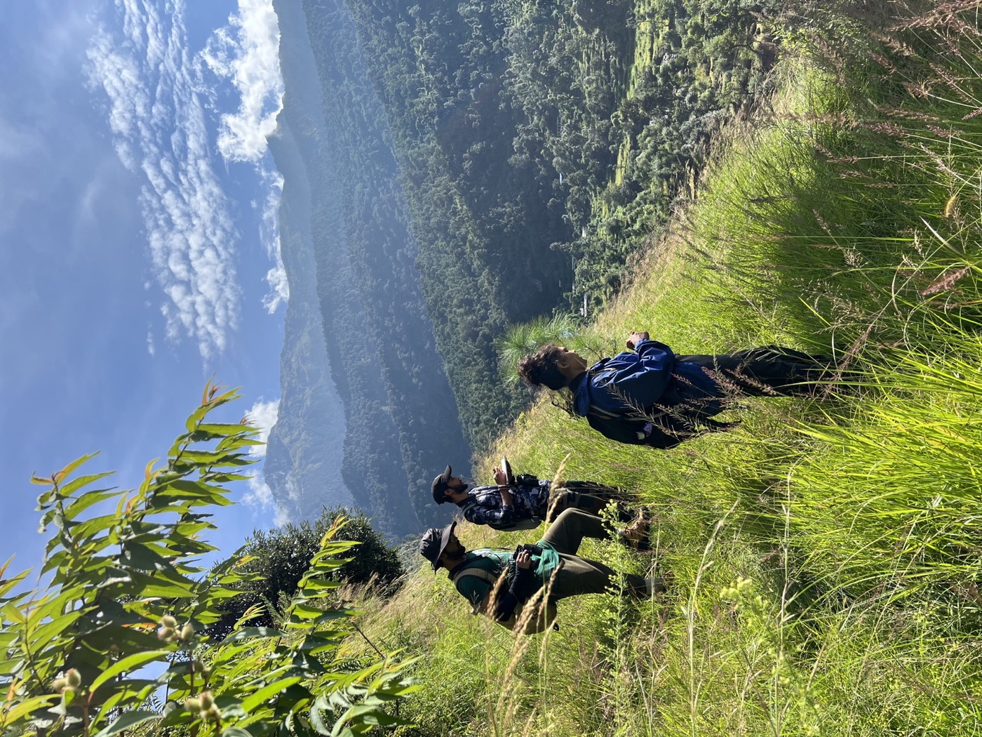 Himalayan langur and dog interaction field image