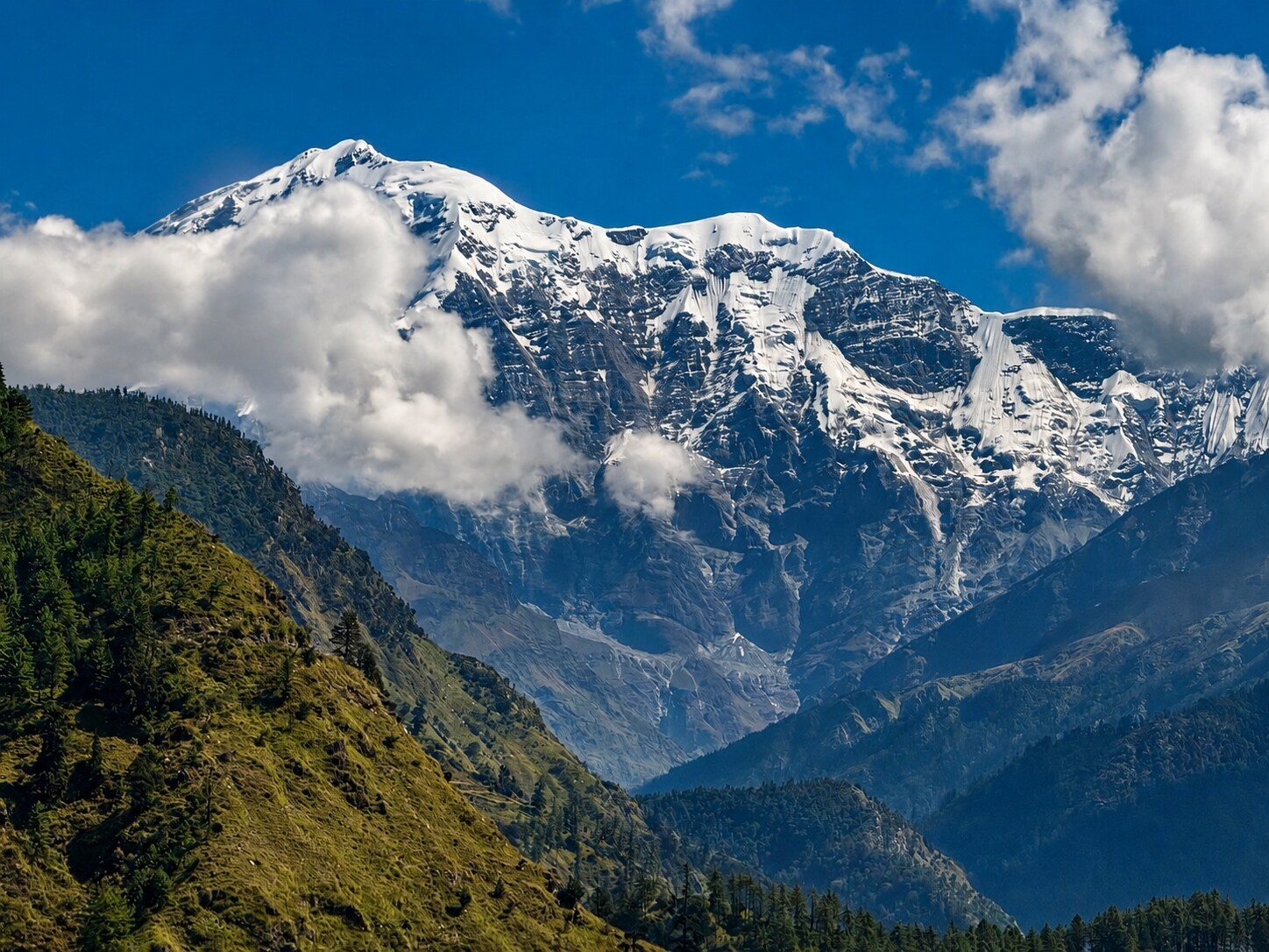 Snow-capped Himalayan peak rising above forested slopes and clouds