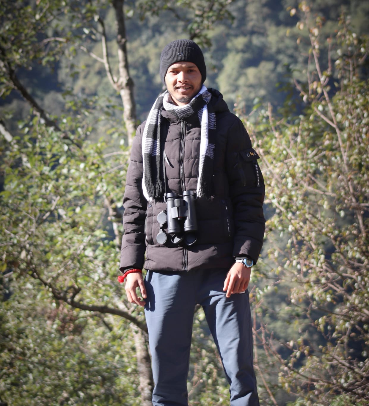 Mohit Mandwal