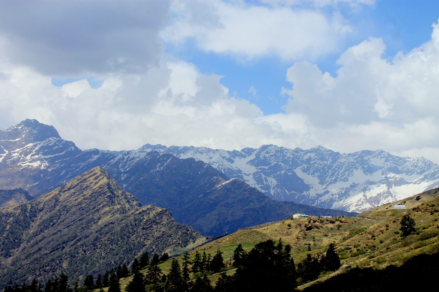 Snow-covered peaks above high-altitude meadow and forest