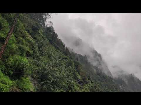 Mandal Valley langur video thumbnail